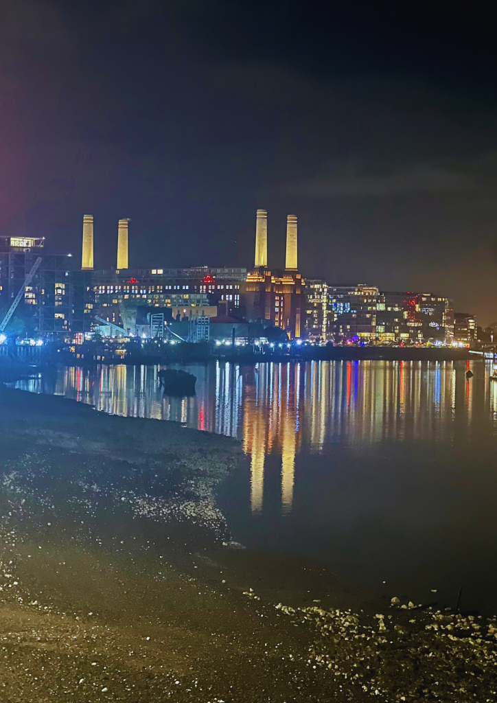 Battersea & Chelsea Chiropractic clinic located inside Battersea Power Station—serving Chelsea, Battersea, Pimlico, and SW London with expert chiropractic care.