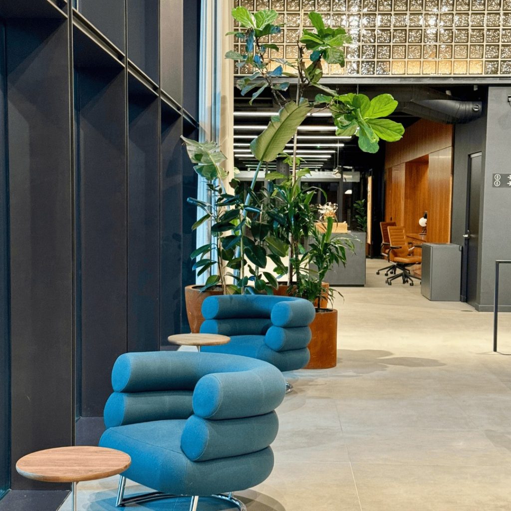 Reception area of our chiropractic clinic near London Victoria with stylish design and welcoming energy.